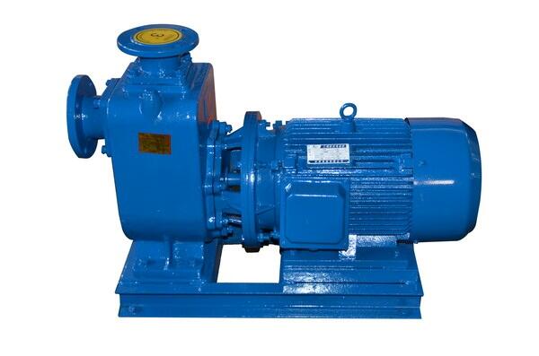 50ZX20-30水泵